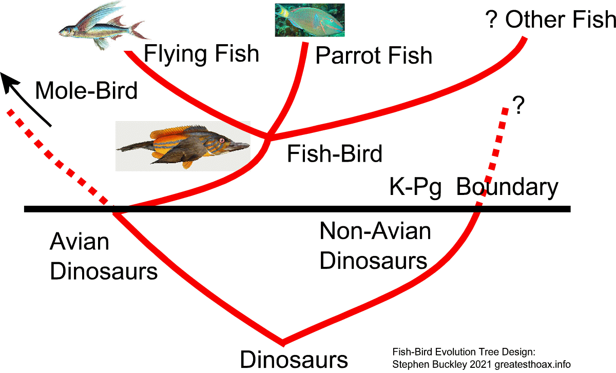 Image:Evolution tree for the Fish-Bird